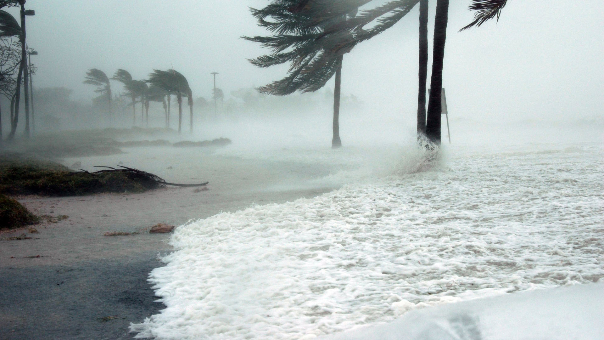 Hurricane Preparedness for Florida HOAs and Condo Associations: 5 Best Practices for Community Readiness